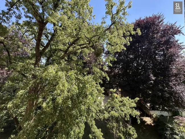 Blick vom Wohnzimmer bei geöffnetem Fenster