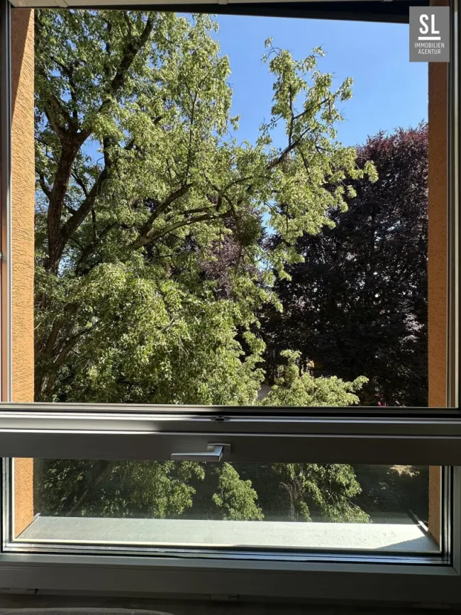 Blick aus dem Wohnzimmerfenster