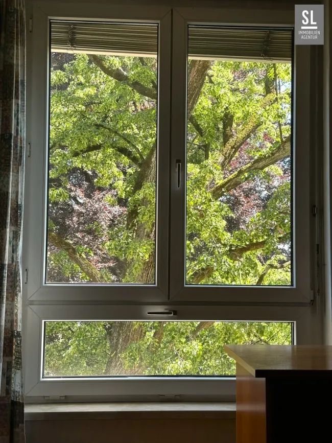 Ausblick aus SZ 1