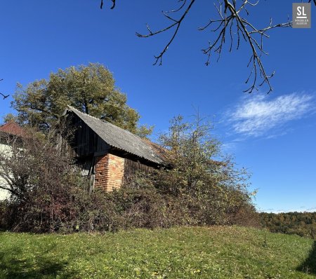 Aussichtslage - Wecken Sie das baufällige Kellerstöckl aus dem Dornröschen Schlaf! Liebevoll umgestalten oder ganz neu bauen