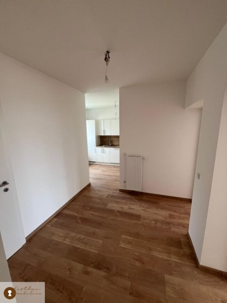 **NEU SANIERT** Astreine gemütliche Zweieinhalbzimmerwohnung im Bezirk Gries zur Miete!" WG geeignet.