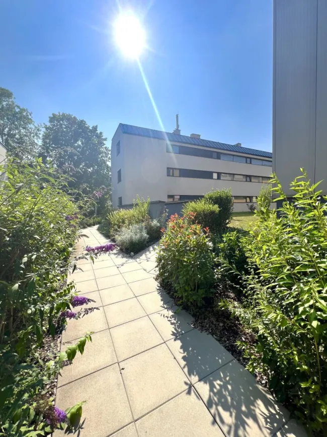 1-Zimmer-Apartment mit Loggia in Purkersdorf - Bild