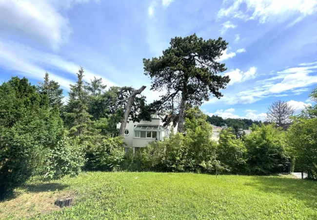 Gartenwohnung mit Weitblick: Prestige Living in Sievering - Titelbild