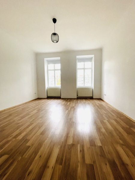 Der Sommer wird günstig – 50 % Provision sparen! Altbaucharme - neu sanierte 1-Zimmer Wohnung mit möglichen Balkon - Nähe Landstraße