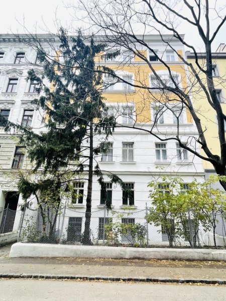 Der Sommer wird günstig – 50 % Provision sparen! Altbaucharme - neu sanierte 1-Zimmer Wohnung mit möglichen Balkon - Nähe Landstraße