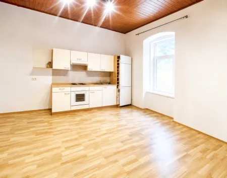 Kompakte Anlegerwohnung mit bestehendem Mietverhältnis in Schottwien