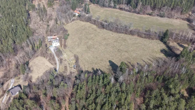 Mensch- und Tierparadies: Mehrparteienhaus mit großem Grundstück - Natur pur - Bild