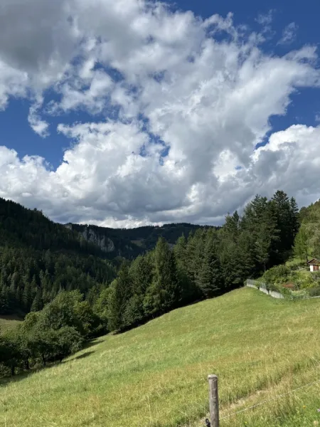 Wohnen, wo andere Urlaub machen – charmante Ferienwohnung am Semmering