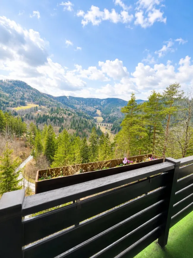 Wohnen, wo andere Urlaub machen – charmante Ferienwohnung am Semmering - Bild
