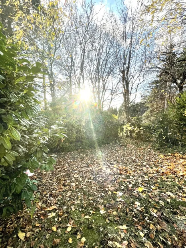 Prestige Living in Sievering: Großzügige Gartenwohnung mit Stil - Bild
