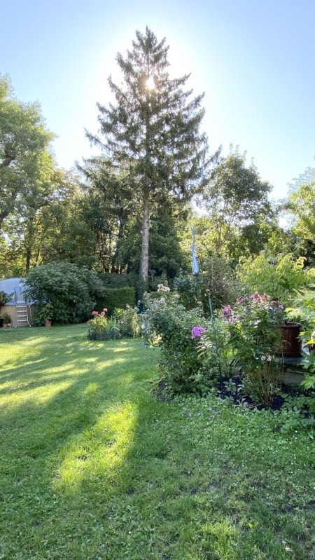 Einfamilienhaus in Speisinger Ruhelage mit großem, schönem Garten zu verkaufen!