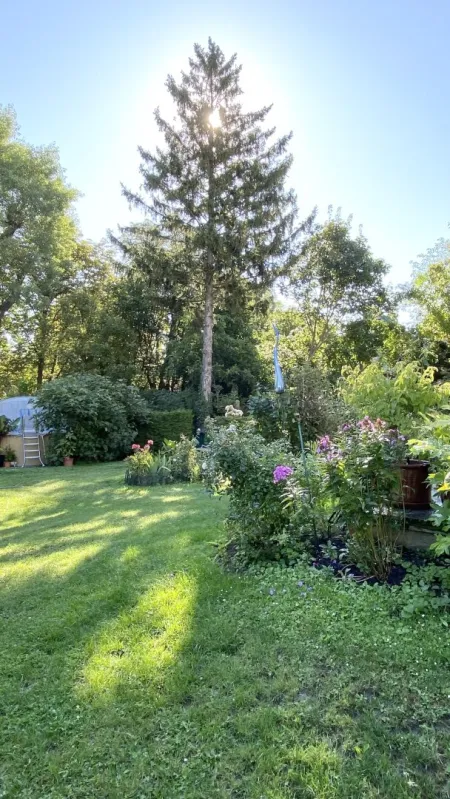 Einfamilienhaus in Speisinger Ruhelage mit großem, schönem Garten zu verkaufen! - Bild