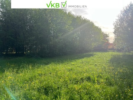 Ruhig gelegenes Grundstück in nähe Gallneukirchen – Gemeinde Alberndorf in der Riedmark (GST 2460/9)