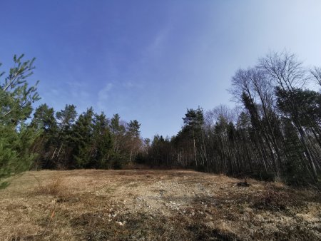 Baugrundstück mit traumhaften Fernblick in ruhiger Lage