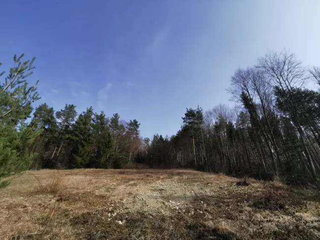Baugrundstück mit traumhaften Fernblick in ruhiger Lage - Bild