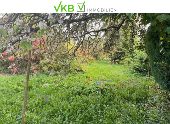 Großzügiges Grundstück guter Lage nähe Gallneukirchen! – Gemeinde Alberndorf in der Riedmark (GST 2438/3) - Bild