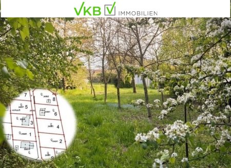 Großzügiges Grundstück guter Lage nähe Gallneukirchen! – Gemeinde Alberndorf in der Riedmark (GST 2438/3)