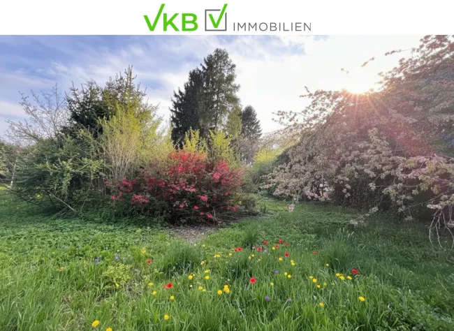 Großzügiges Grundstück guter Lage nähe Gallneukirchen! – Gemeinde Alberndorf in der Riedmark (GST 2438/3) - Bild