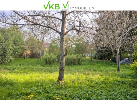 Großzügiges Grundstück nähe Gallneukirchen! - Gemeinde Alberndorf in der Riedmark (GST 2443/1)