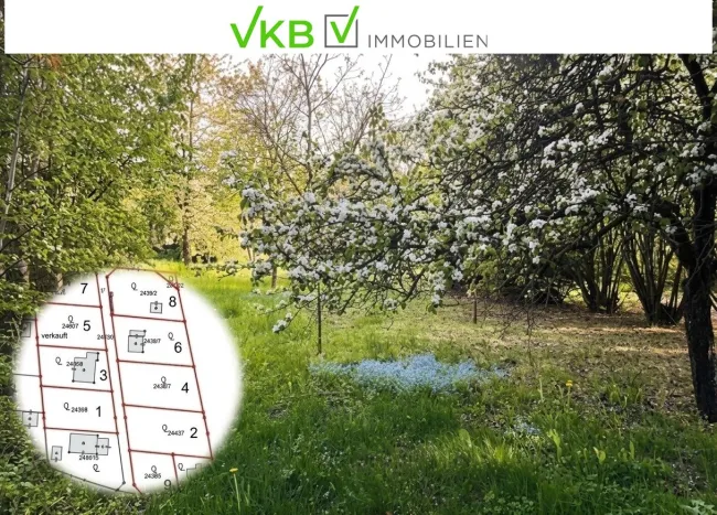 Großzügiges Grundstück nähe Gallneukirchen! - Gemeinde Alberndorf in der Riedmark (GST 2443/1) - Titelbild