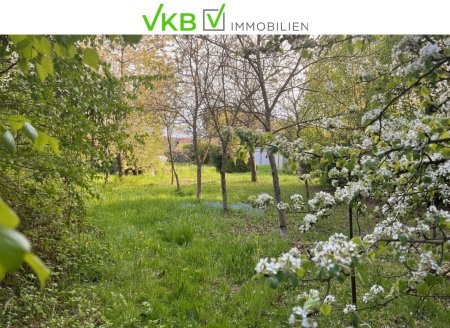 Großzügiges Grundstück nähe Gallneukirchen! - Gemeinde Alberndorf in der Riedmark (GST 2443/1)