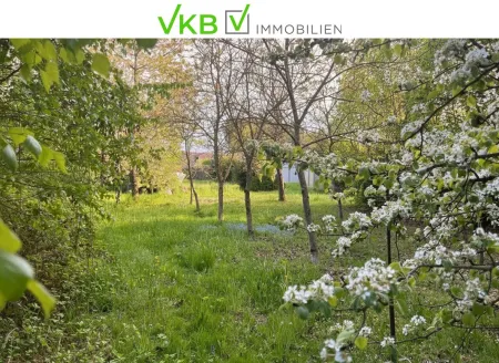 Großzügiges Grundstück nähe Gallneukirchen! - Gemeinde Alberndorf in der Riedmark (GST 2443/1)