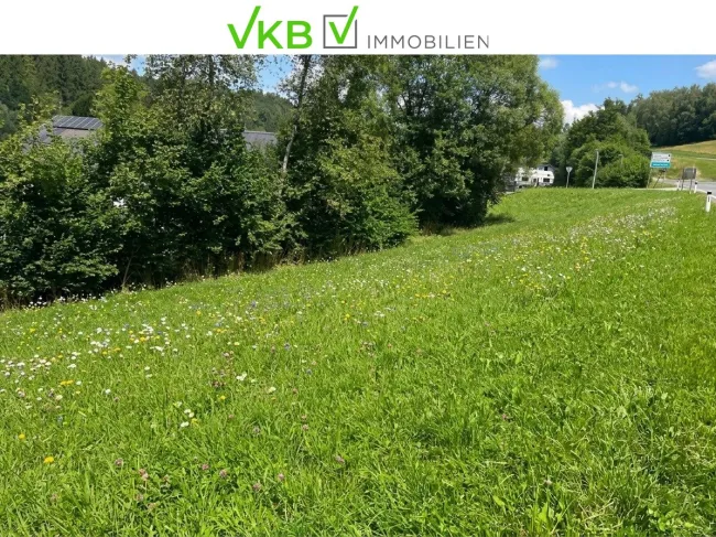 EIDENBERG: Baugrundstück in idyllischer Lage mit einzigartiger Lebensqualität! - Bild