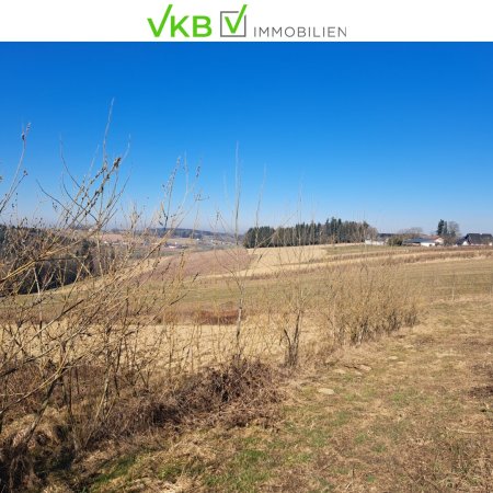 Exklusives Weinbaugrundstück, Südhang in sonniger Lage!