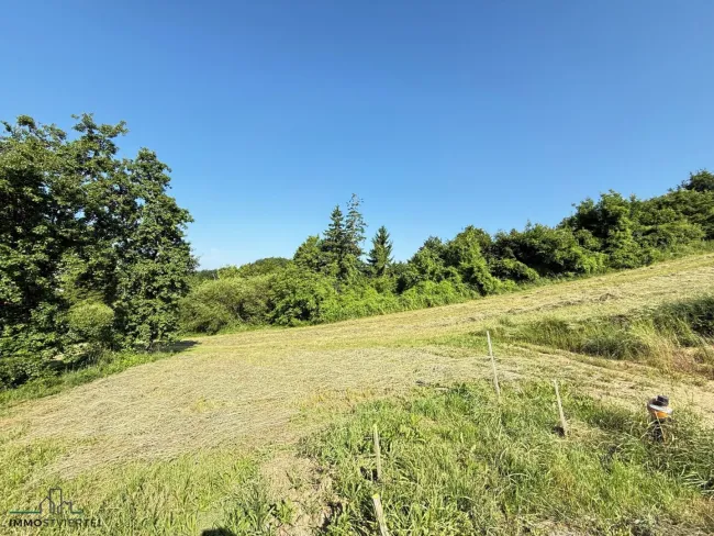 Großes Grundstück in bester Aussichtslage in Scheibbs!! PROVISIONSFREI! - Bild
