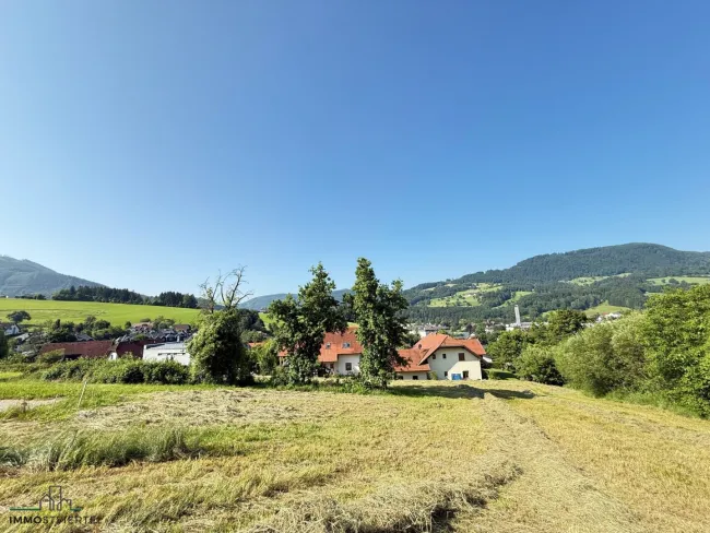 Großes Grundstück in bester Aussichtslage in Scheibbs!! PROVISIONSFREI! - Titelbild