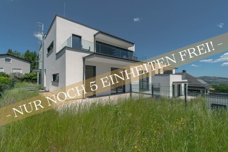 Garten/Außenansicht
