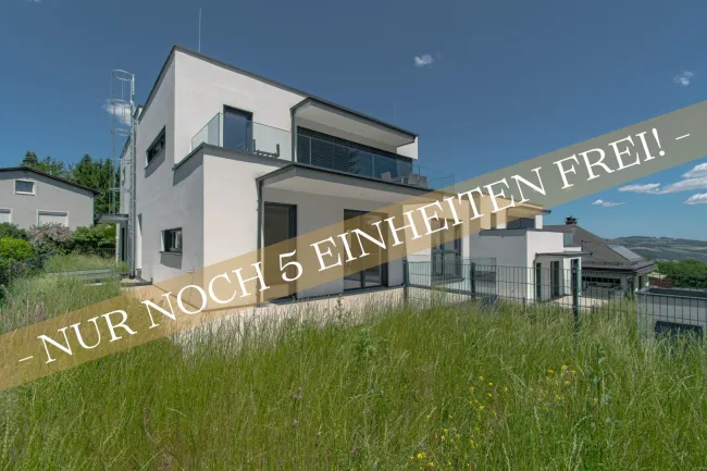 Garten/Außenansicht