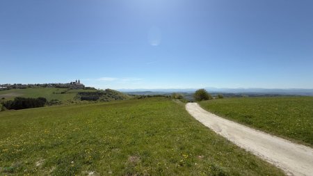 Großes Grundstück mit herrlicher Aussicht auf Maria Taferl und ins Alpenvorland! Hobbylandwirtschaft möglich!