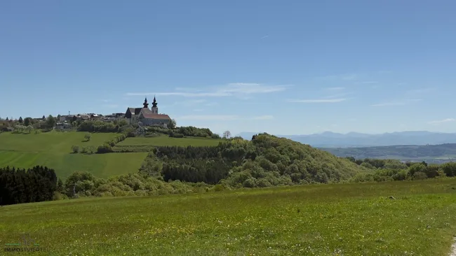 Großes Grundstück mit herrlicher Aussicht auf Maria Taferl und ins Alpenvorland! Hobbylandwirtschaft möglich! - Titelbild