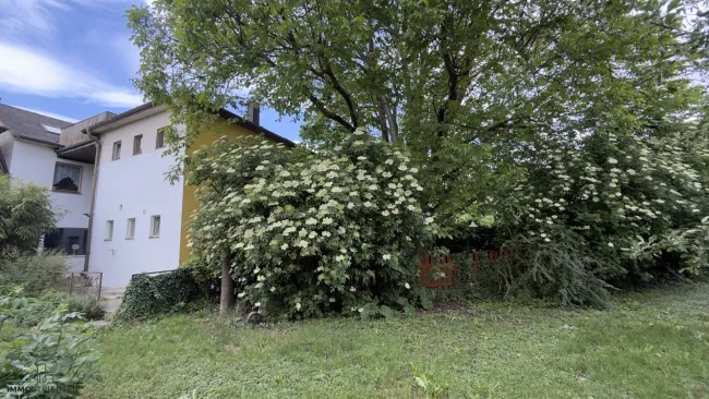 Garten mit Blick zum Haus