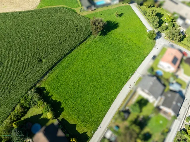 Baurechtsgrundstück in Top Aussichtslage mit Projektentwurf für Bauträger! - Bild