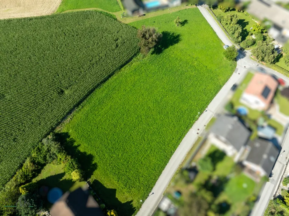 Baurechtsgrundstück in Top Aussichtslage mit Projektentwurf für Bauträger! - Bild