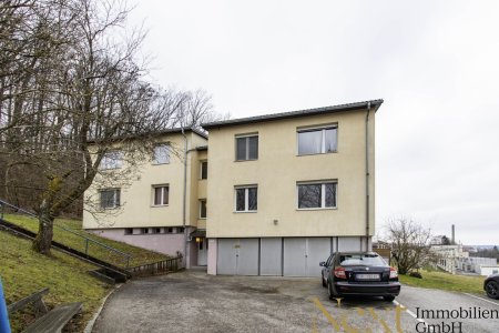 Fischhub 6