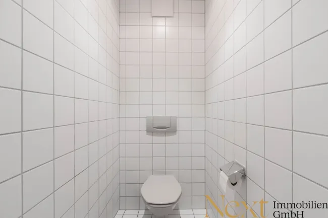 Toilette II