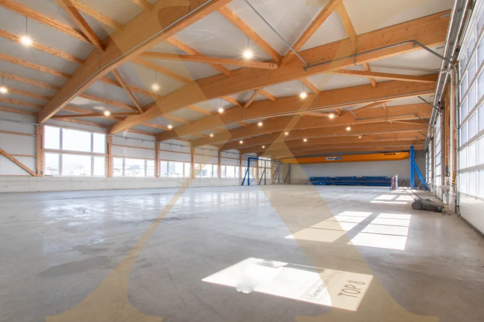 Ansicht Halle I