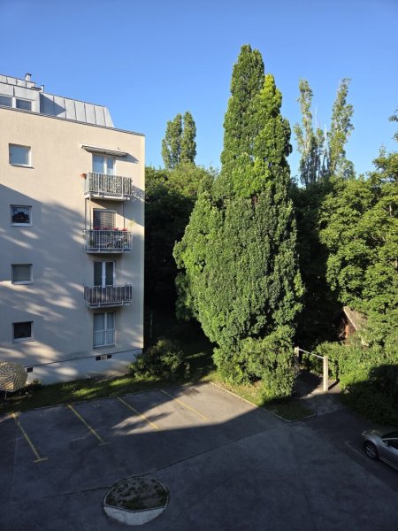 Charmante 3-Zimmer-Neubauwohnung mit Balkon im 2. Stock ohne Lift!