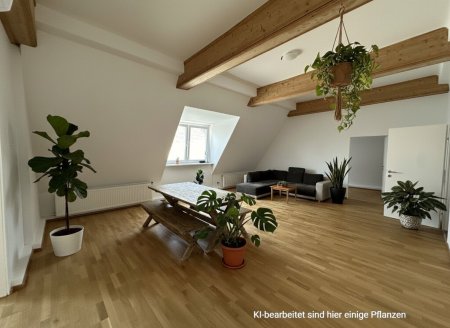 Große 5 Zimmer im frisch ausgebauten Dachgeschoss mit DG-Terrasse!