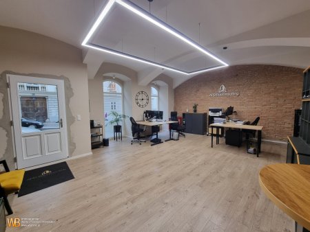 Bestlage Berggasse! Modernes Büro mit 3 Eingängen!