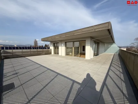 Dachterrasse gesamt