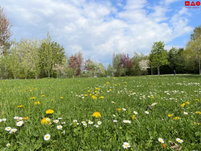 Park Bindermichl