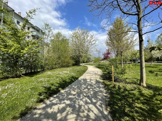 Fußweg Park