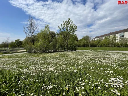 Bindermichl Park