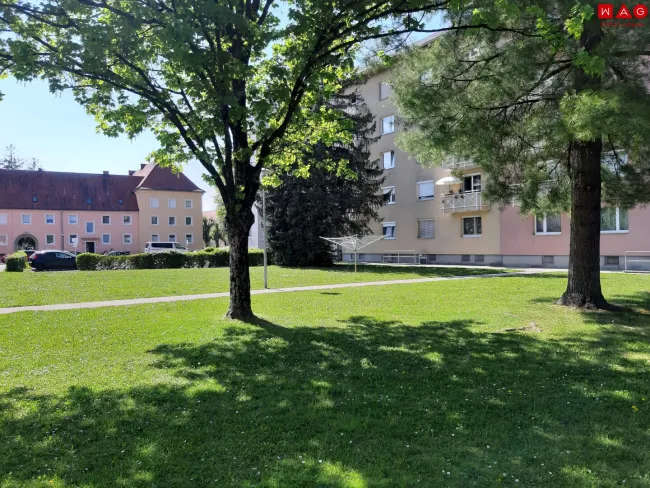 grüner Innenhof