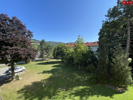 Ausblick