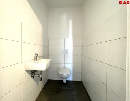 WC mit Handwaschbecken